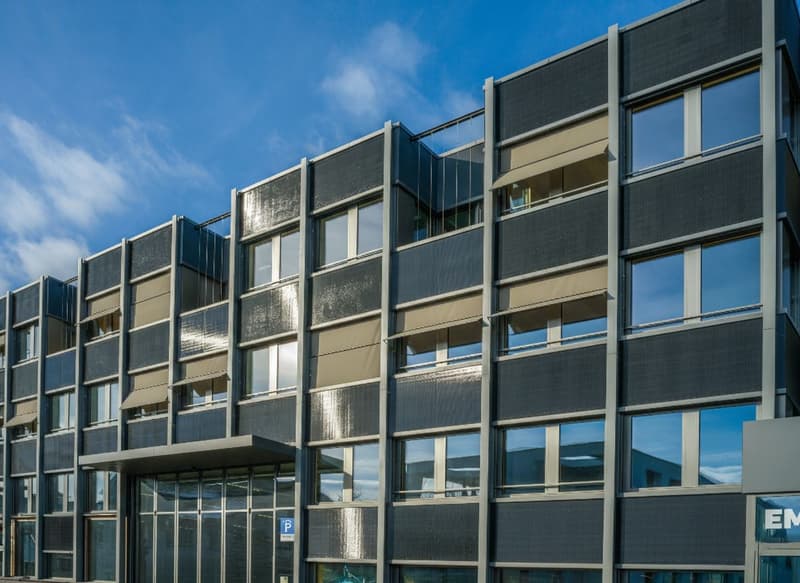 Aussergewöhnliches Bürokonzept 438 m² in Hagendorn! (9)