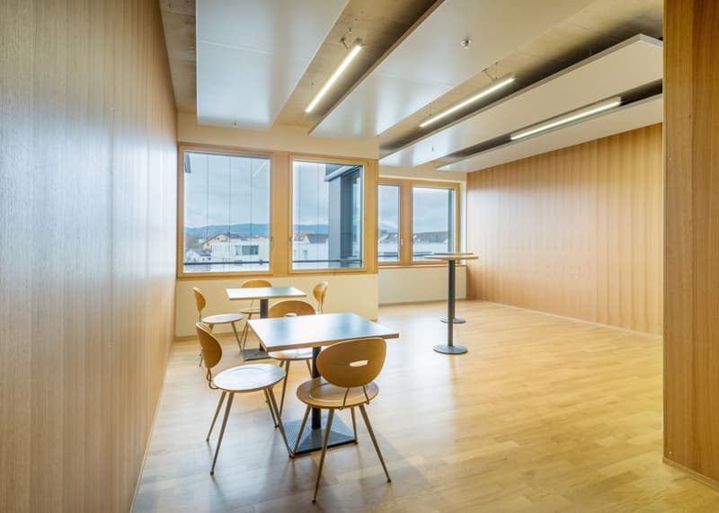 Aussergewöhnliches Bürokonzept 438 m² in Hagendorn! (5)