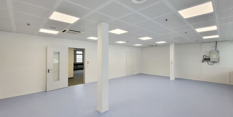 362 m² Gewerbefläche im Campus Mägenwil! (5)