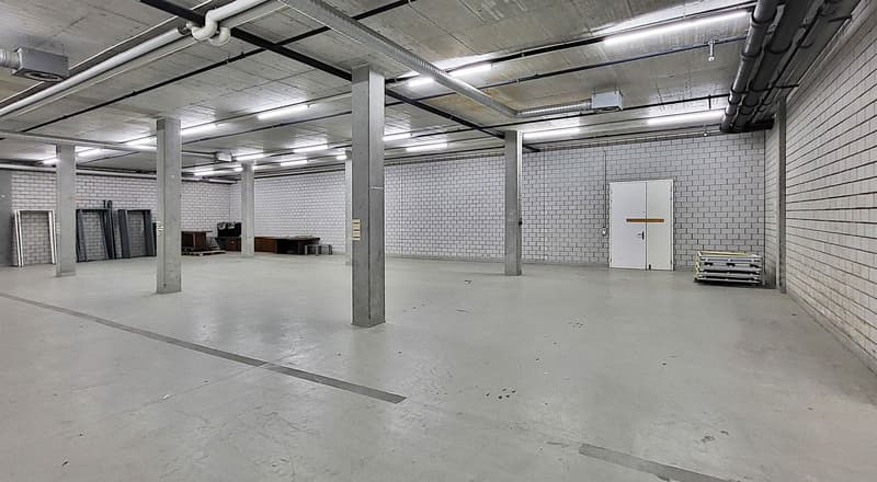 Hohes Lager mit guter Zugänglichkeit - 365 m2! (2)