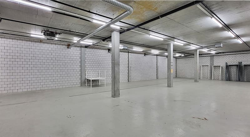 Hohes Lager mit guter Zugänglichkeit - 365 m2! (1)