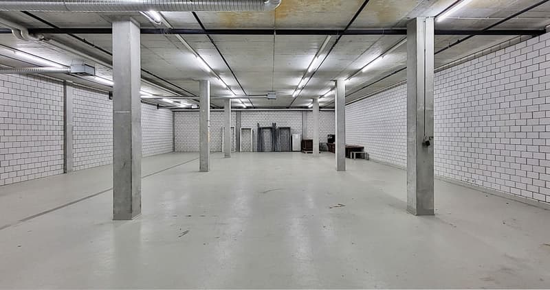 Hohes Lager mit guter Zugänglichkeit - 365 m2! (3)
