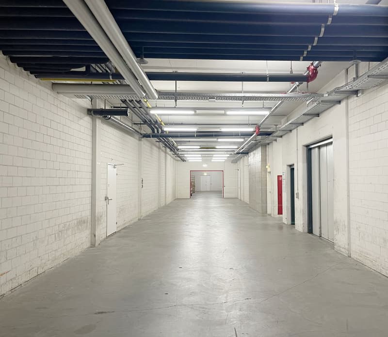 Befahrbare Gewerbefläche - 522m²! (5)