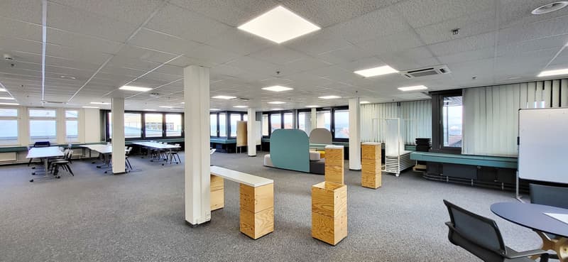 "1'263 m² auf dem begehrten CAMPUS Mägenwil!" (3)