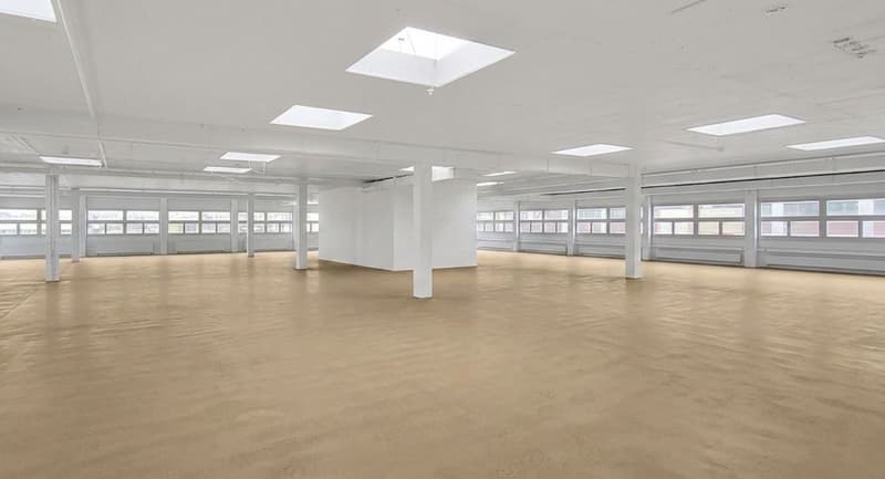 Attraktive Gewerbefläche mit viel Tageslicht! (10)