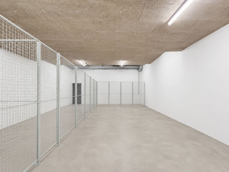 "Hohe Lagerflächen im Untergeschoss in Root! - jetzt ab 50 m²" (2)