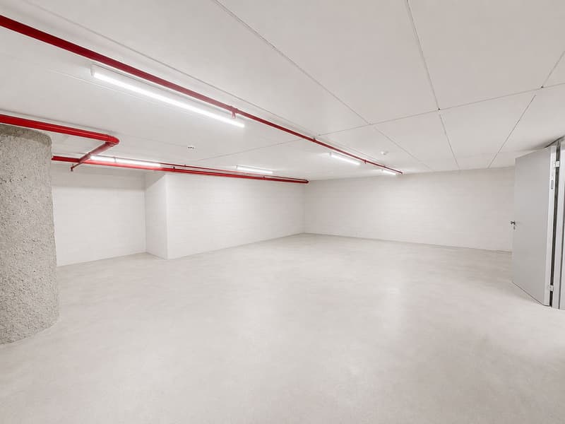 Deine neue Lagerfläche? 62 m² mitten in Brugg! (4)