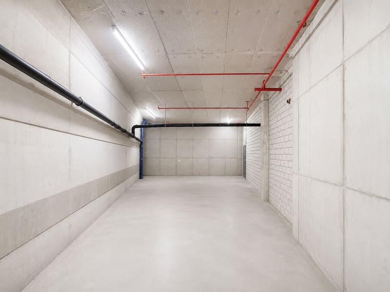 Deine neue Lagerfläche? 62 m² mitten in Brugg! (1)