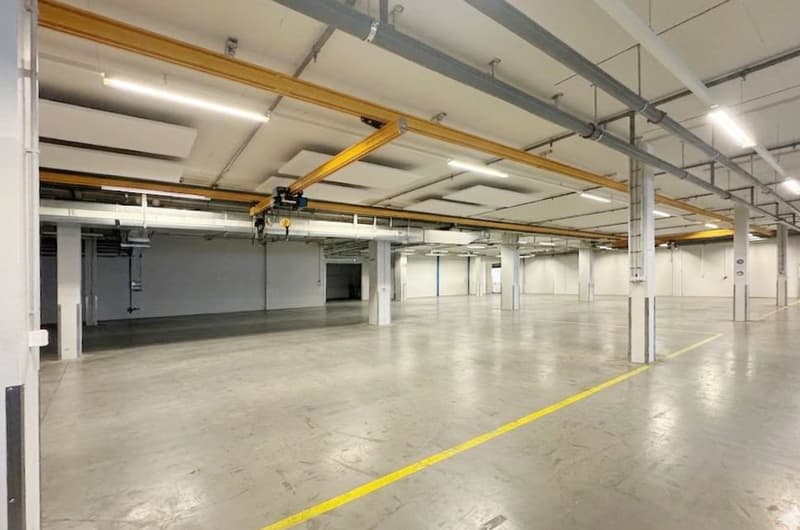 867m² - Gewerbe-, Produktions- oder Lagerfläche mit optimaler Anlieferung (4)