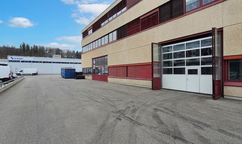 Seltene, attraktive EG-Fläche in Kloten! (3)