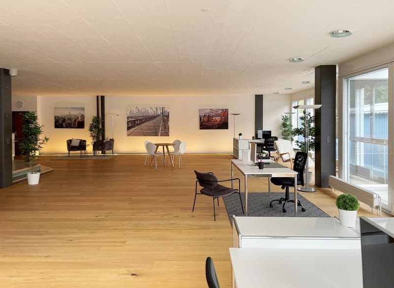 Helle Büro-/Gewerbefläche mit Sitzungszimmer, Küche und Nasszelle (5)