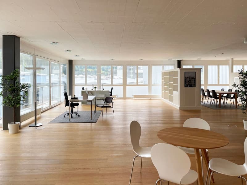 Helle Büro-/Gewerbefläche mit Sitzungszimmer, Küche und Nasszelle (2)