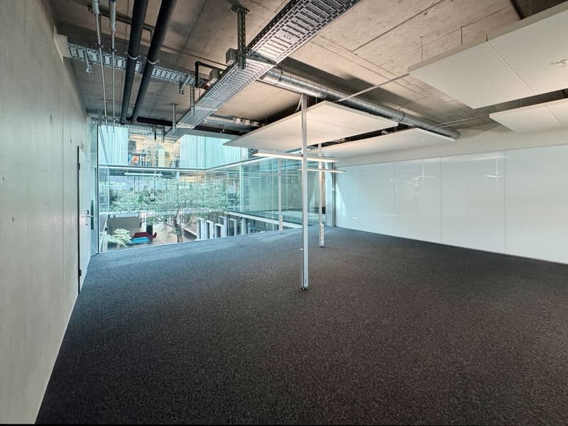 665m² - Repräsentative Bürofläche an attraktiver Lage (10)