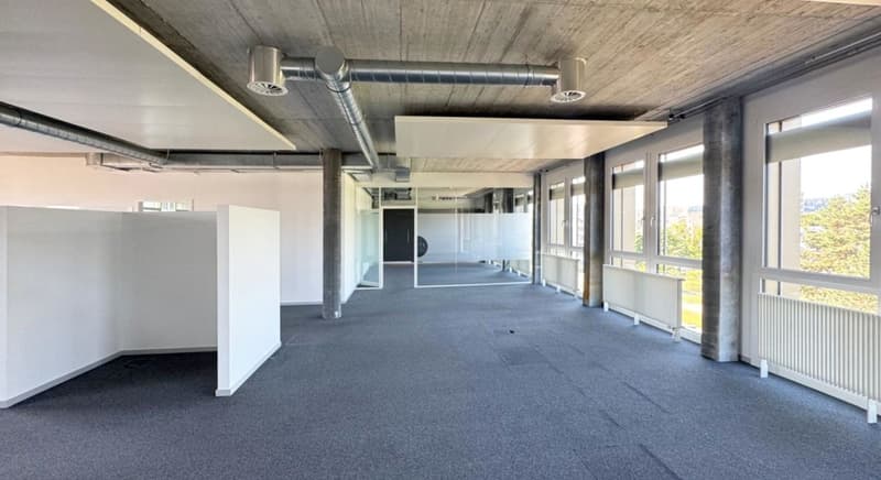 Moderne und helle Gewerbefläche im Triamal (4)