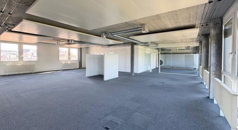 Moderne und helle Gewerbefläche im Triamal (3)