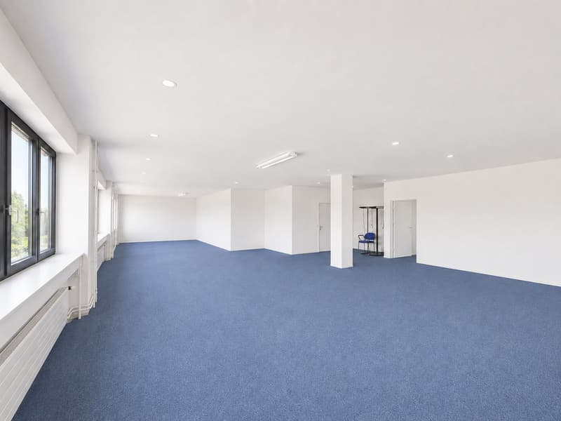 Ganzer Gebäudeteil und ca. 1'500 m² Aussenfläche verfügbar! (4)