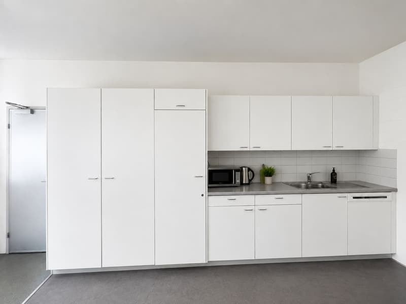 Ganzer Gebäudeteil und ca. 1'500 m² Aussenfläche verfügbar! (14)