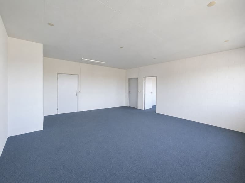 Ganzer Gebäudeteil und ca. 1'500 m² Aussenfläche verfügbar! (9)