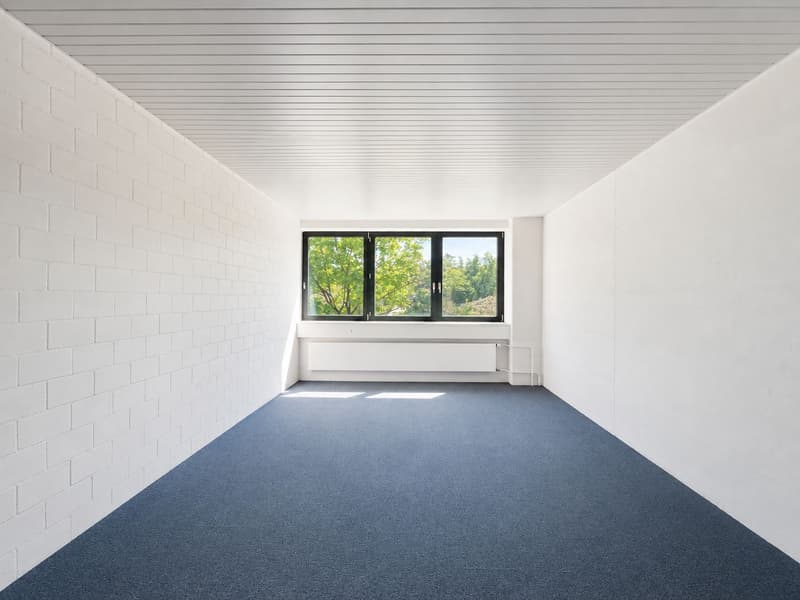 Ganzer Gebäudeteil und ca. 1'500 m² Aussenfläche verfügbar! (11)