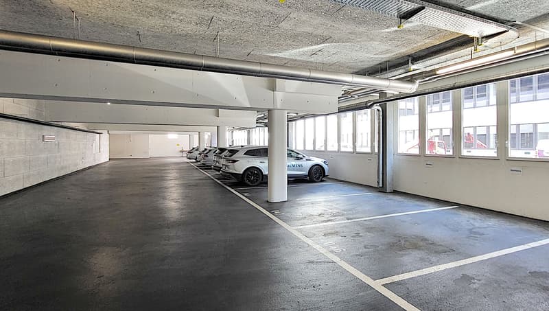 Befahrbare Gewerbeflächen im TechCenter Reinach! (1)