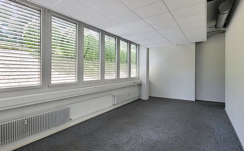 Befahrbare Gewerbeflächen im TechCenter Reinach! (4)
