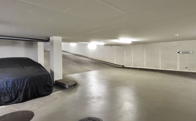 Private Einstellhalle für 37 (+) Fahrzeuge! (3)