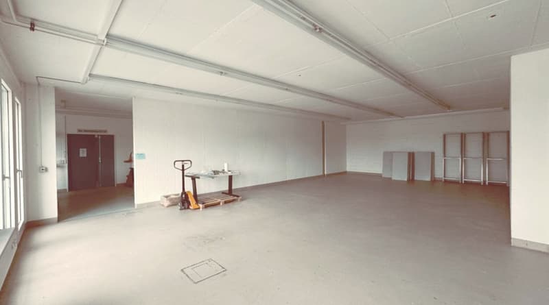 Gewerbe- & Lagerfläche (147 m²) mit ebenerdiger Anlieferung und grossem Warenlift (2)
