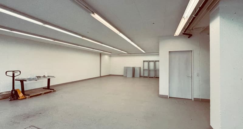 Gewerbe- & Lagerfläche (147 m²) mit ebenerdiger Anlieferung und grossem Warenlift (3)