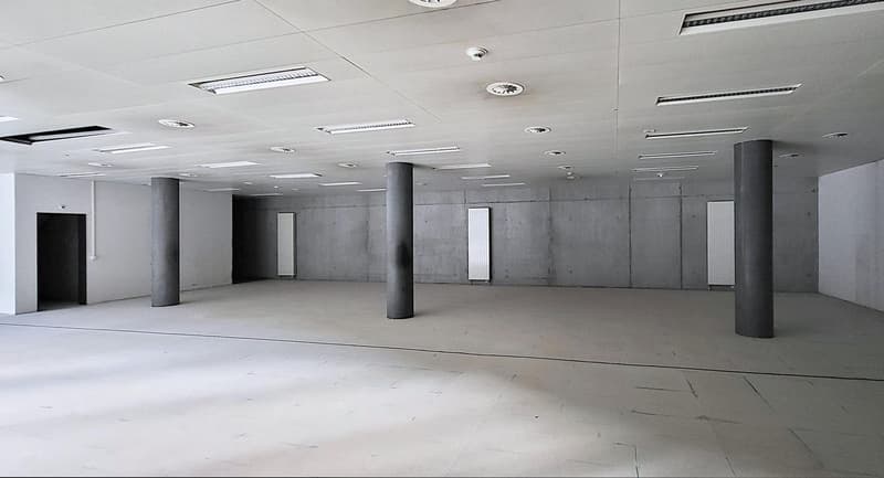 "Spannende Gelegenheit im Zentrum von Grenchen!" (4)
