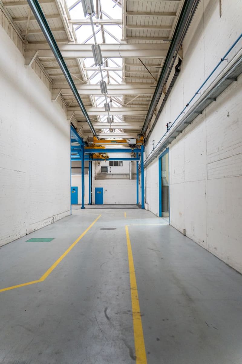 Hohe Lager-/Gewerbehalle mit ebenerdigem Zugang - 550 m² (4)