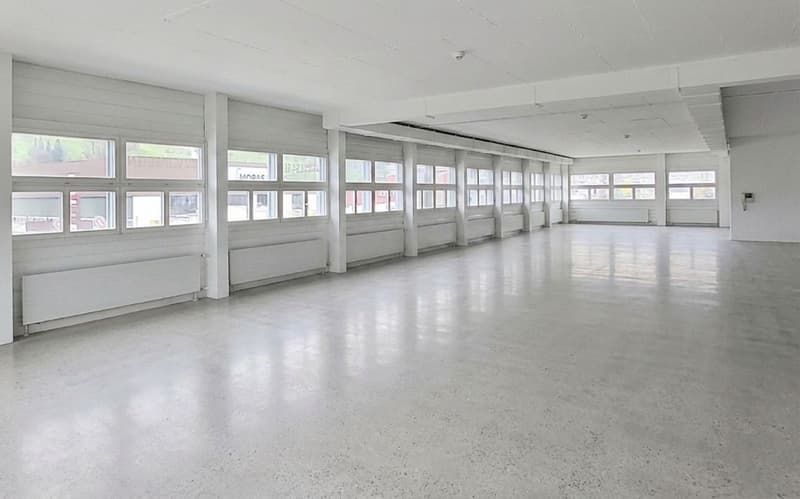 JETZT auch Teilflächen mit viel Tageslicht! (6)
