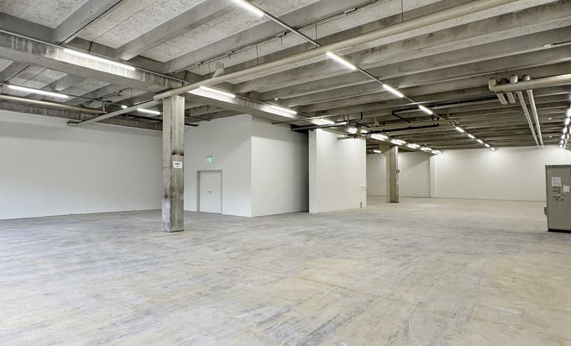 560m² - Moderne Industriehalle mit optimaler Ausstattung in Biberist (11)
