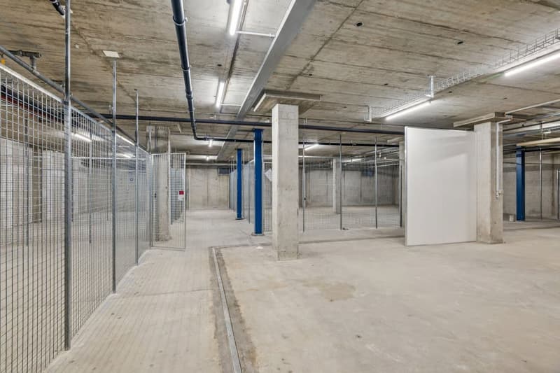 Kostengünstige Lagerfläche mit 280 m² – ideal für KMU, Gewerbe oder Onlinehandel (3)