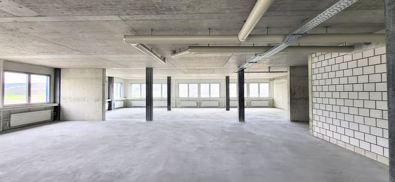 1500m² - Flexible Gewerbefläche an der A1 (7)