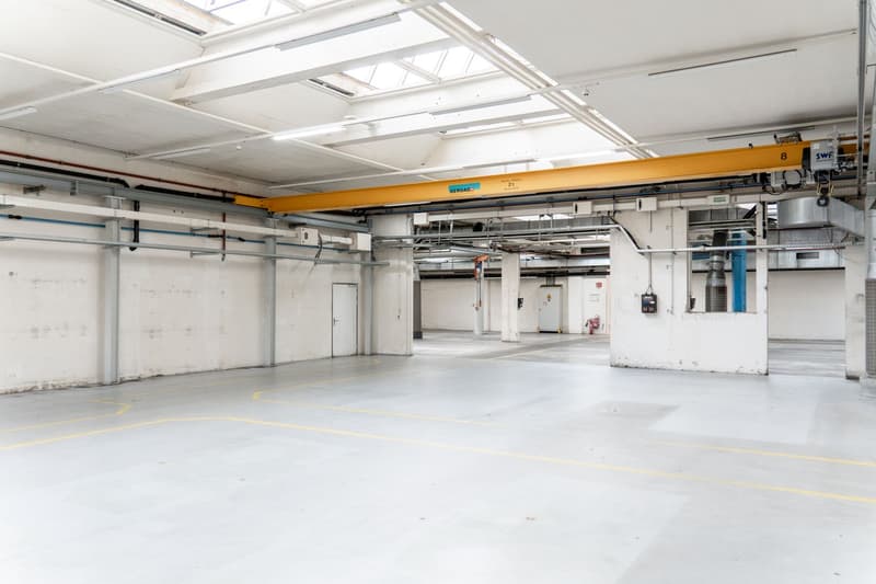 Vielseitige Lagerfläche mit 801 m² in Rupperswil! (1)