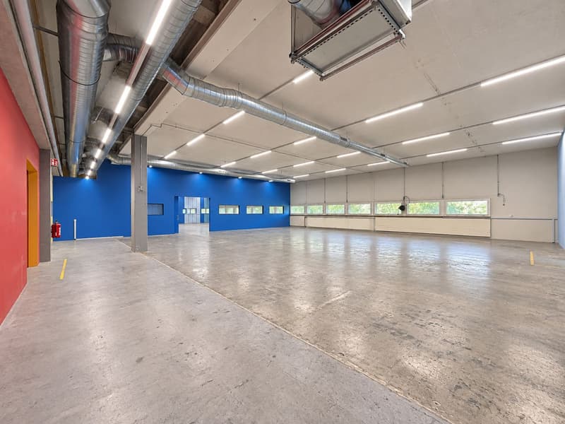 Grosszügige EG-Fläche für Produktion und Lager - 1’880 m² in Herznach! (8)