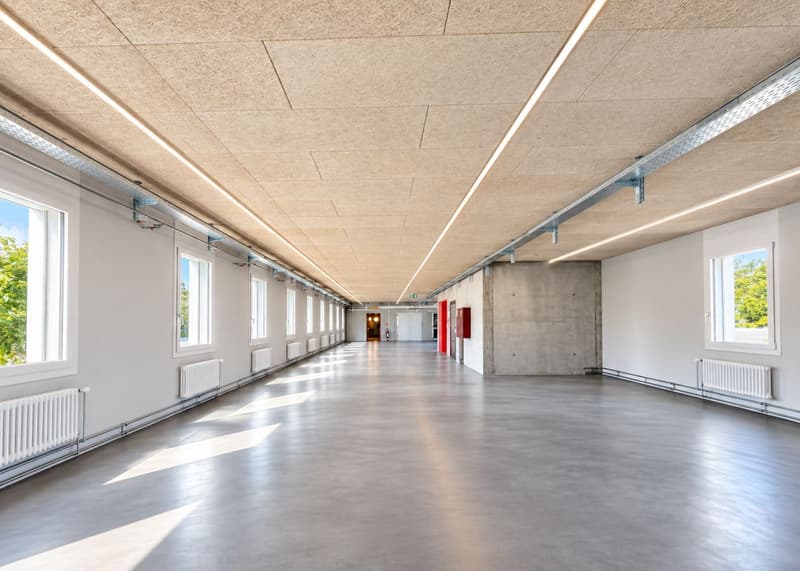 Flexibel nutzbare Gewerbefläche - 396 m2 in Herznach! (4)