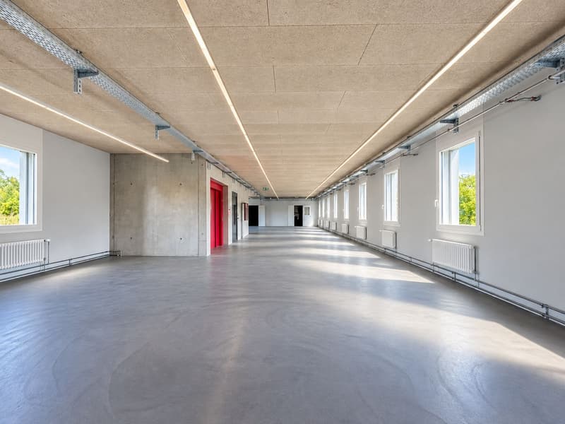 396 m² moderne Bürofläche im Erstbezug in Herznach! (4)