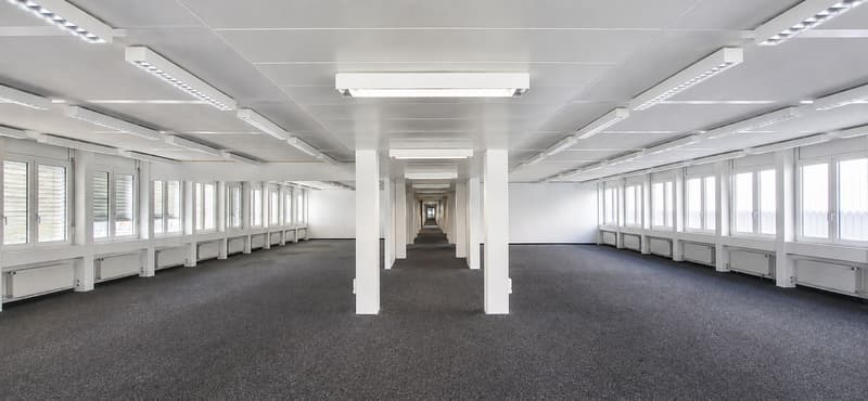 Ihr neues Büro in Schafisheim - 319 m²! (6)