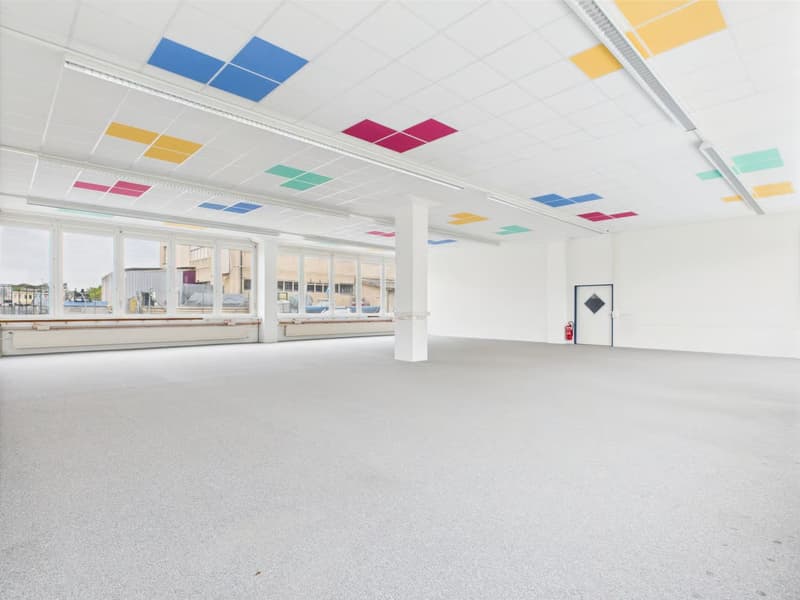 Luftige und helle Bürofläche im Erdgeschoss in Murten (2)