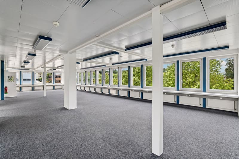 Spannende Bürofläche mit 197m² – ideal in Kombination mit Lager oder Gewerbe (1)