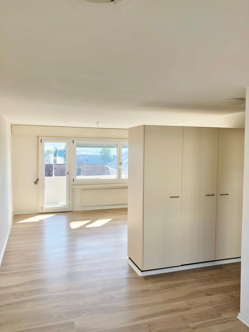 4.5 -Zimmerwohnung mit grossem Balkon in 6032 Emmen zu vermieten (1)