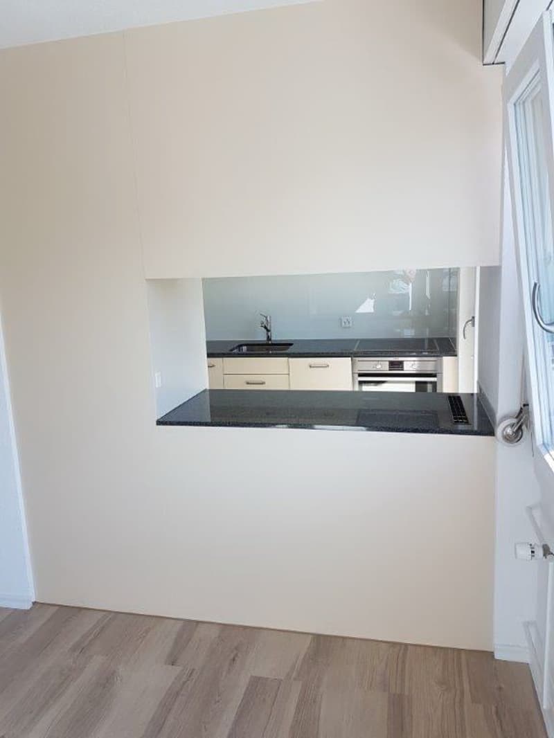 4.5 -Zimmerwohnung mit grossem Balkon in 6032 Emmen zu vermieten (5)
