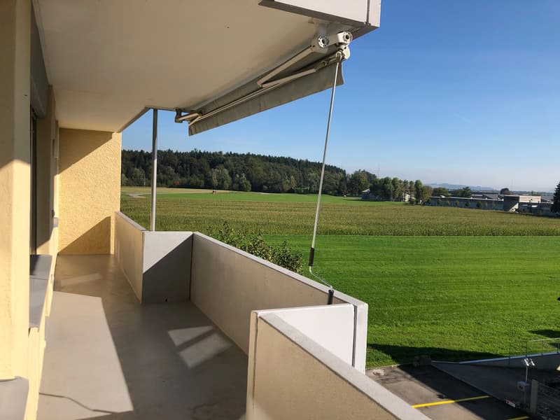 4.5 -Zimmerwohnung mit grossem Balkon in 6032 Emmen zu vermieten (11)