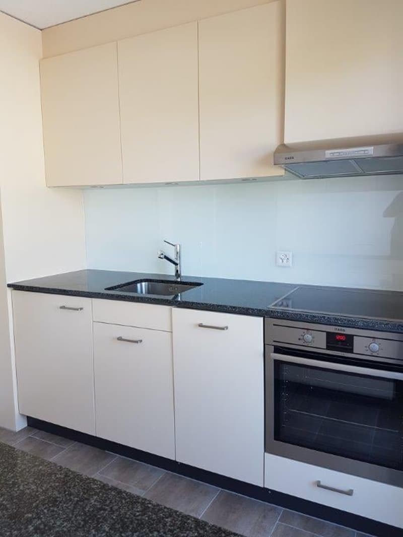 4.5 -Zimmerwohnung mit grossem Balkon in 6032 Emmen zu vermieten (7)