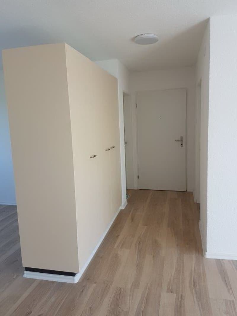 4.5 -Zimmerwohnung mit grossem Balkon in 6032 Emmen zu vermieten (4)