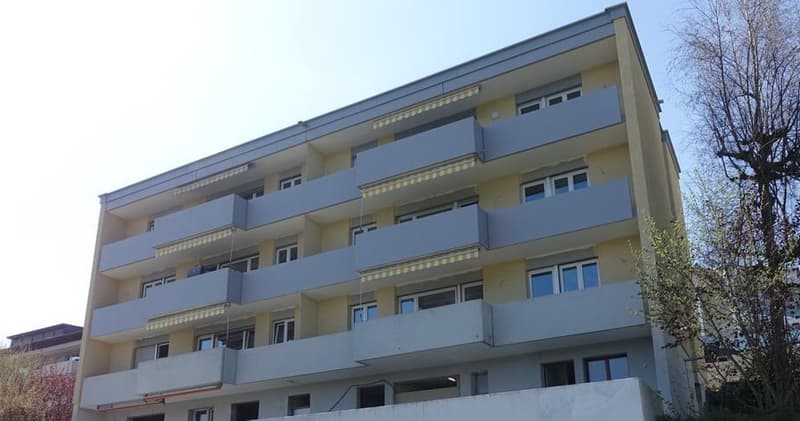 4.5 -Zimmerwohnung mit grossem Balkon in 6032 Emmen zu vermieten (13)