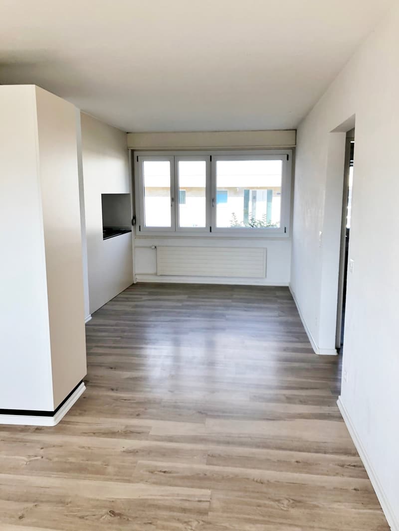 4.5 -Zimmerwohnung mit grossem Balkon in 6032 Emmen zu vermieten (3)