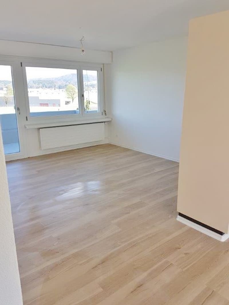 4.5 -Zimmerwohnung mit grossem Balkon in 6032 Emmen zu vermieten (2)