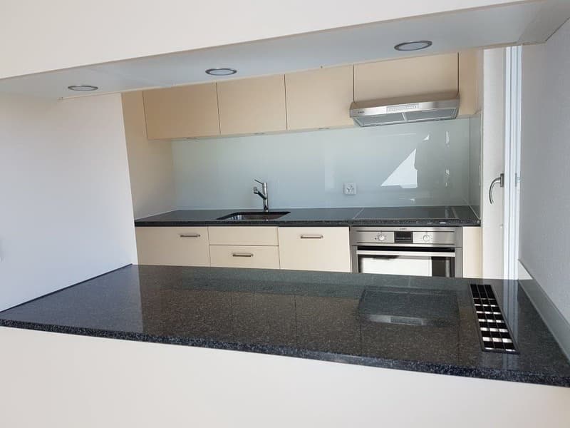 4.5 -Zimmerwohnung mit grossem Balkon in 6032 Emmen zu vermieten (6)